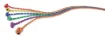 SS135810_1.jpg