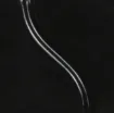 416950_1.jpg