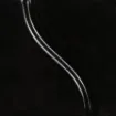SS141698_1.jpg