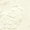 423483.jpg