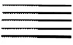 432905.jpg