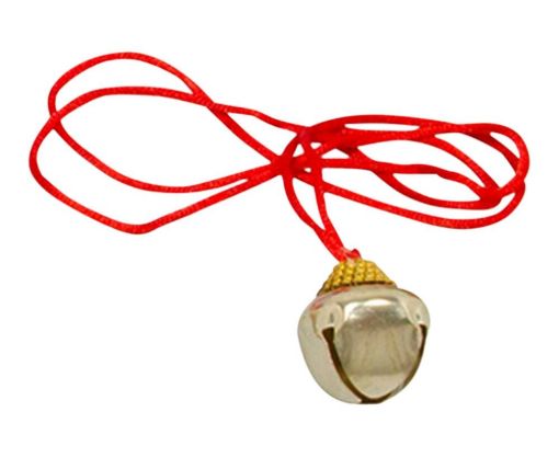 SS204121_1.jpg
