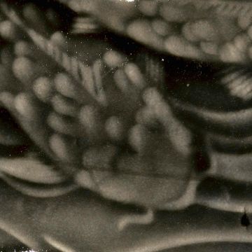 SS238523_1.jpg