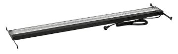 SS239110_1.jpg