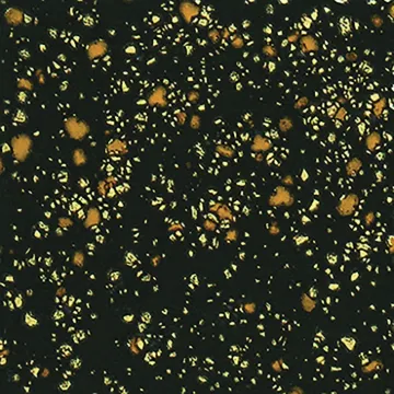 451532.jpg