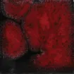 SS142031_1.jpg