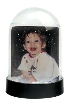 452420.jpg