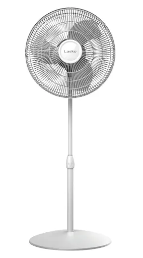 2002554.jpg
