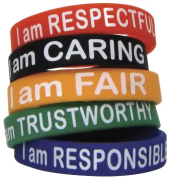 WRISTBANDS CHARACTER TRAITS PACK OF 10