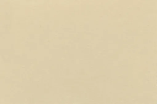 1595770.jpg