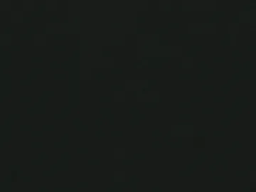 1595772.jpg