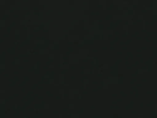 1595772.jpg