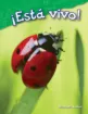 1597873_8.jpg