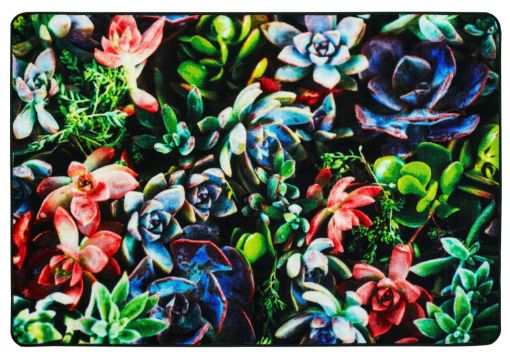 SS248106_1.jpg