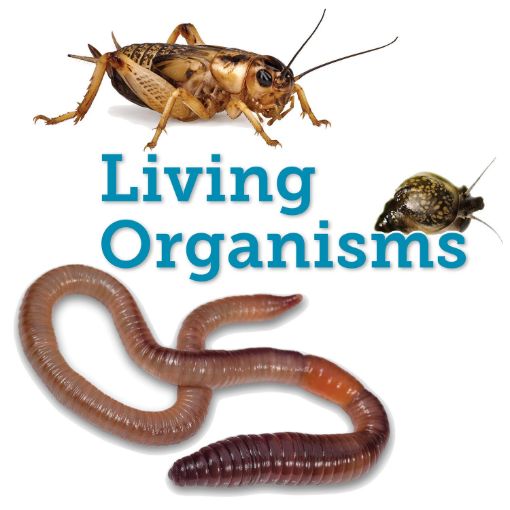 SS248966_1.jpg