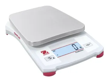 2013806.jpg