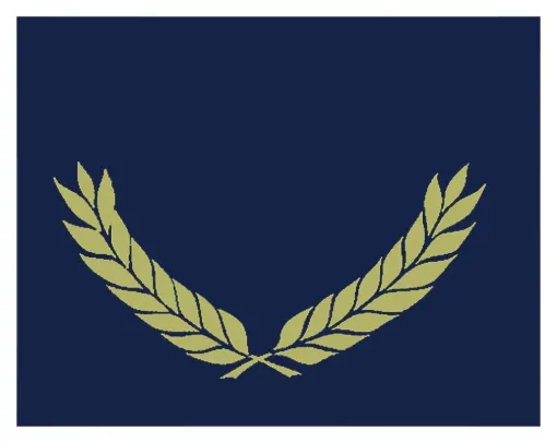 2019603.jpg