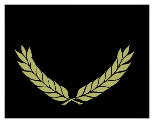 2019611.jpg