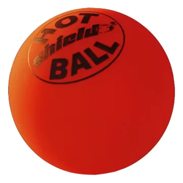 2002866.jpg