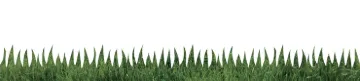 2004302.jpg