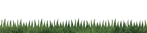 2004302.jpg