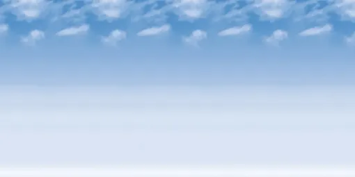 2004570.jpg