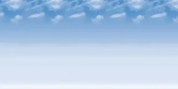 2004572.jpg