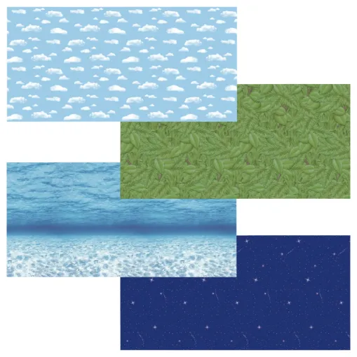 2004584.jpg