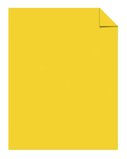 1558735.jpg
