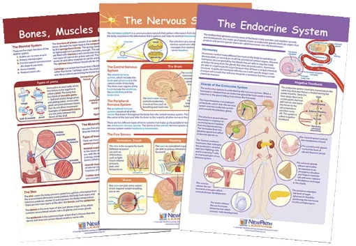 1567135.jpg