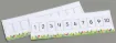SS167281_1.jpg