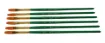 SS167459_1.jpg