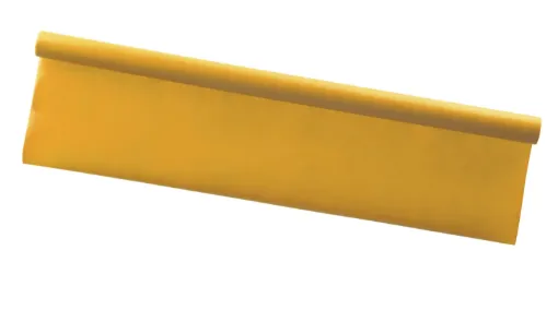 1567869.jpg