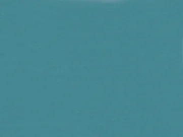 1537168.jpg
