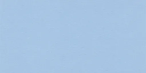 1537169.jpg