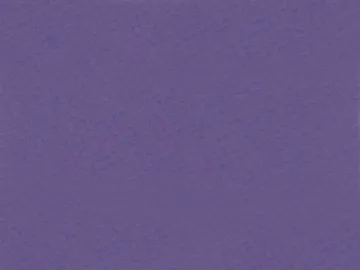 1537172.jpg