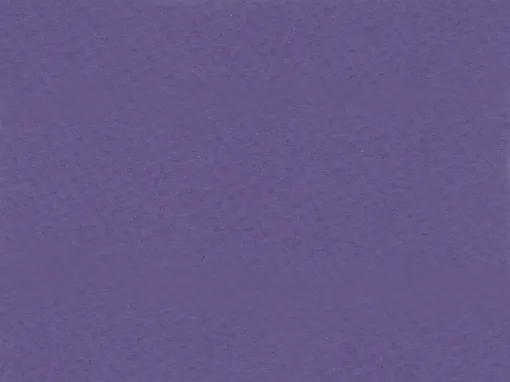 1537172.jpg