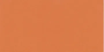 1537175.jpg