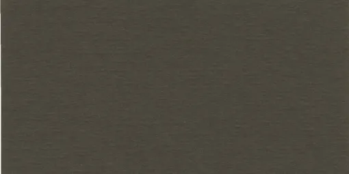 1537177.jpg