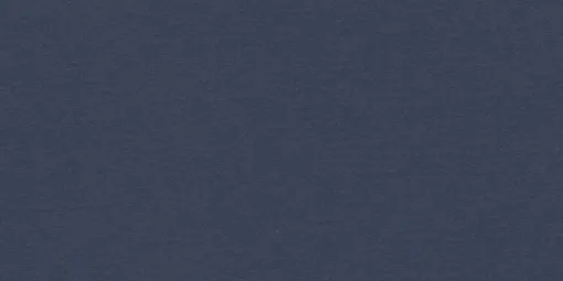 1537185.jpg