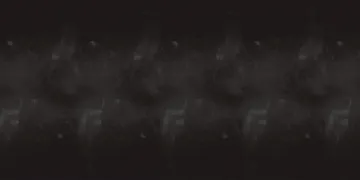 1537837.jpg