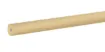 1537840_1.jpg