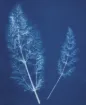 1540717_2.jpg