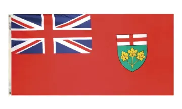 1542882.jpg