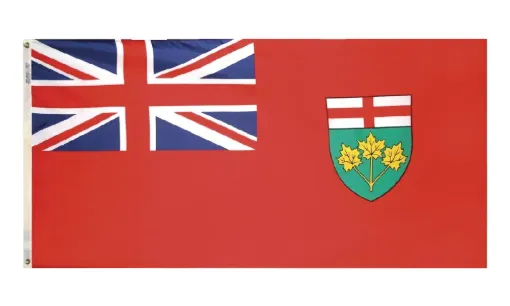 1542882.jpg