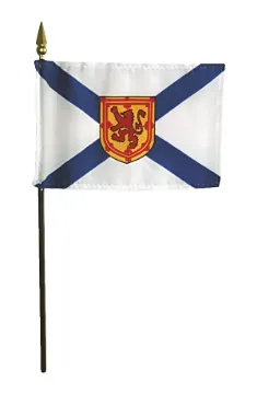 1542894.jpg