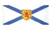 1542895.jpg