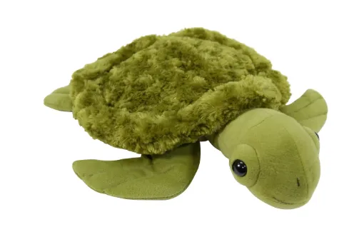 1543183.jpg