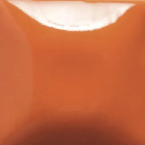 1589232.jpg