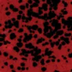 SS170564_1.jpg